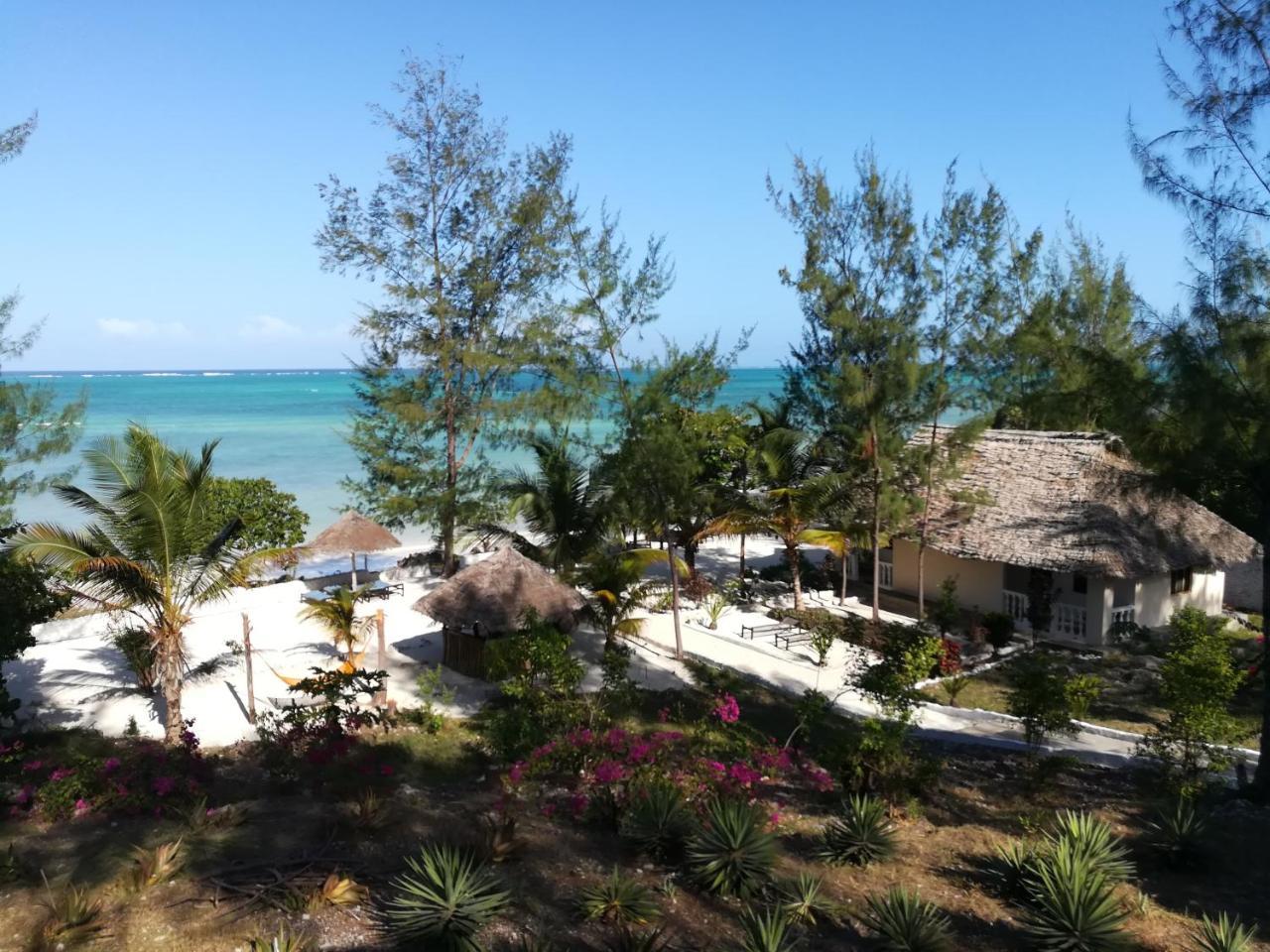 Panorama Ocean View Hotel Paje Buitenkant foto